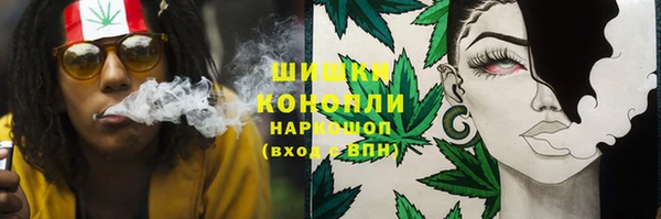 ГАЛЛЮЦИНОГЕННЫЕ ГРИБЫ Балабаново