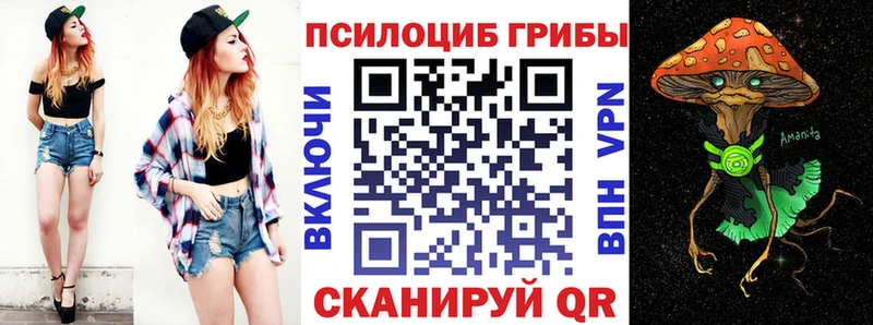 дарнет шоп  Болгар  Псилоцибиновые грибы ЛСД 